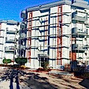 WhatsApp Image 2025-01-29 at 21.39.30